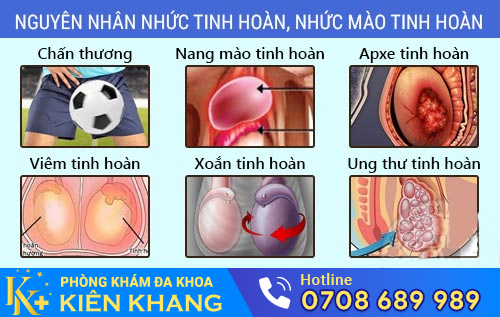 Nguyên nhân nhức tinh hoàn, nhức mào tinh hoàn
